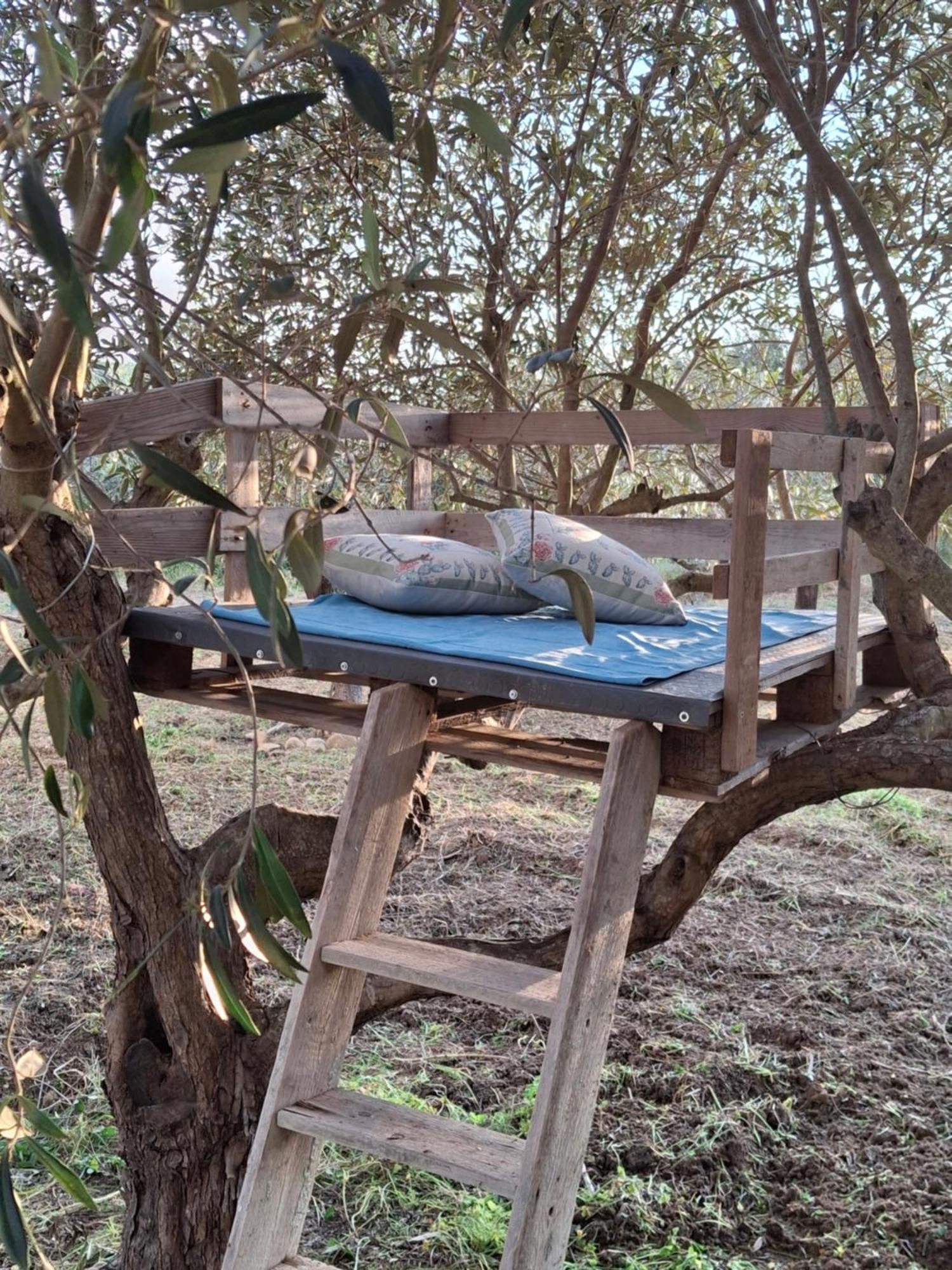 Casa Country Villa Agrigento Ngoại thất bức ảnh
